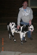 Ruby is a 1 month old Holstein. She is just one of the sweet animals in our petting zoo this year!